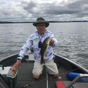 Meet your Posher, Alfredo